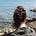 Avatar de Laia Mas