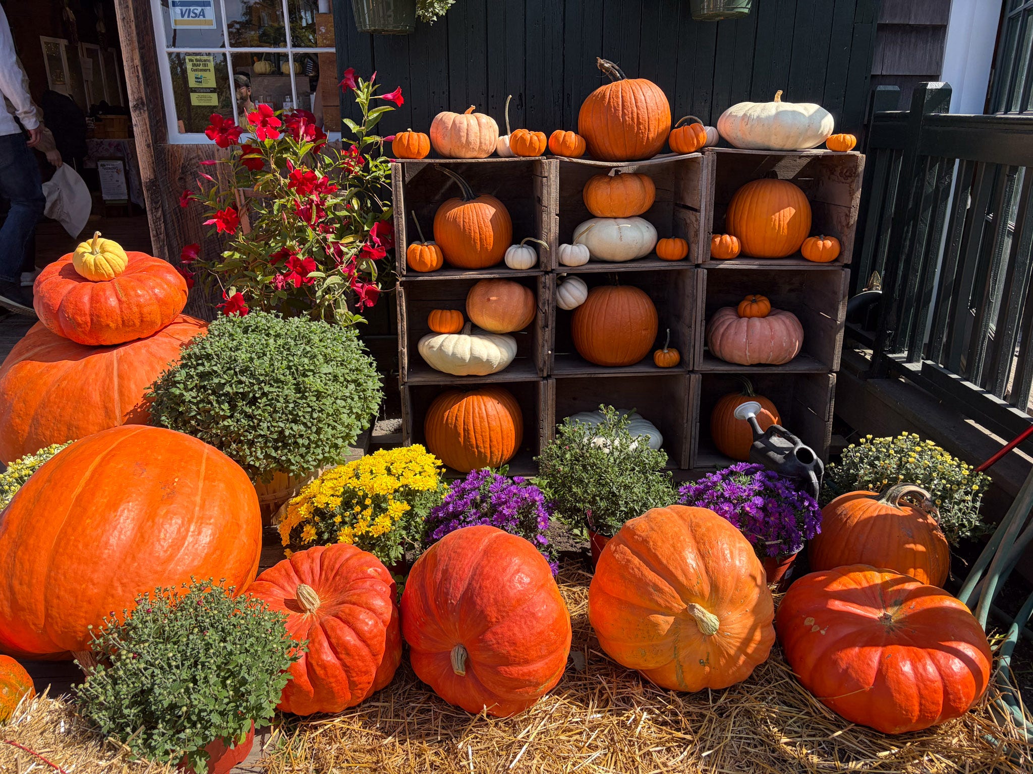 A Fall Day in Ipswich: Exploring a Quieter corner of the MA Coast
