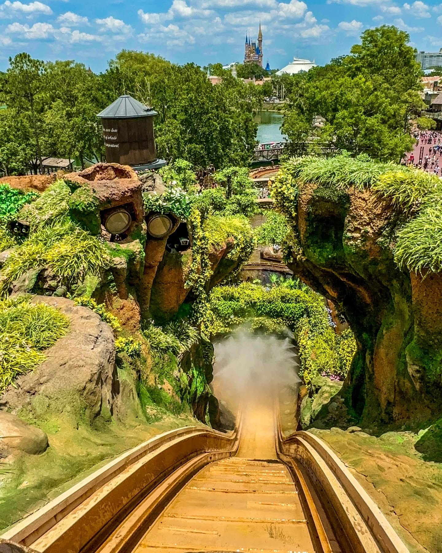 The drop in question - WDW version. Image: Facebook