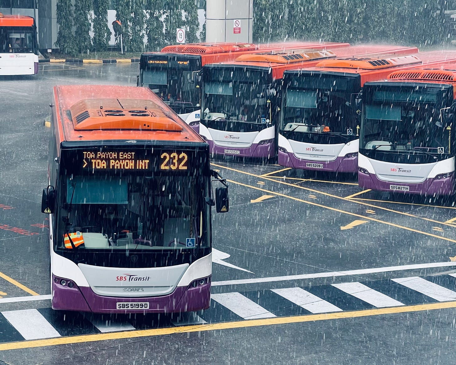 Bus stop with buses in the background. In the foreground, bus number 232 heading to Toa Payoh in Singapore. It is raining.