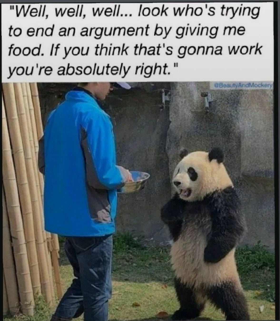 May be an image of panda and text that says '"Well, well, well... look who's trying to end an argument by giving me food. If you think that's gonna work you're absolutely right." @BoautyAndMockery AndMockery'