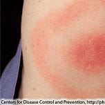 Surviving Healthcare