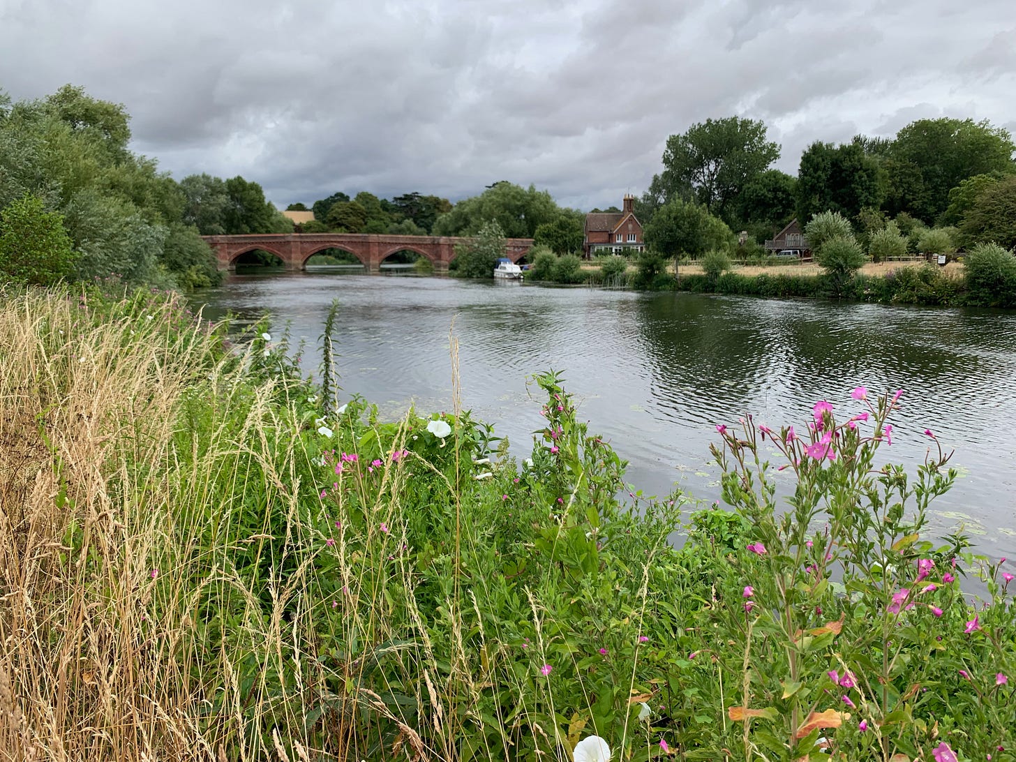 walking the Thames