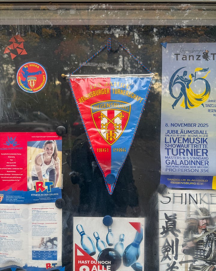 Regensburg's islands in the Danube and TS Regensburg.