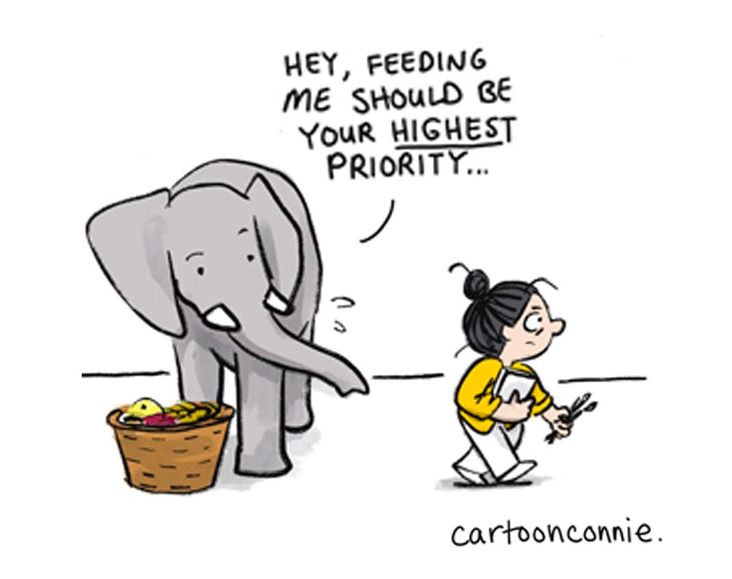 Panel 6 of a 6-panel comic about the weird things we stock up on in times of uncertainty and scarcity. The panels illustrate a cartoon girl with a bun talking to an elephant about insecurity leading to an impulse to panic-buy strange things. Titled "The Things We Stock Up On," 2026, by Connie Sun, cartoonconnie. Panel 6 of a 6-panel comic about the weird things we stock up on in times of uncertainty and scarcity. The panels illustrate a cartoon girl with a bun talking to an elephant about insecurity leading to an impulse to panic-buy strange things. Titled "The Things We Stock Up On," 2026, by Connie Sun, cartoonconnie.