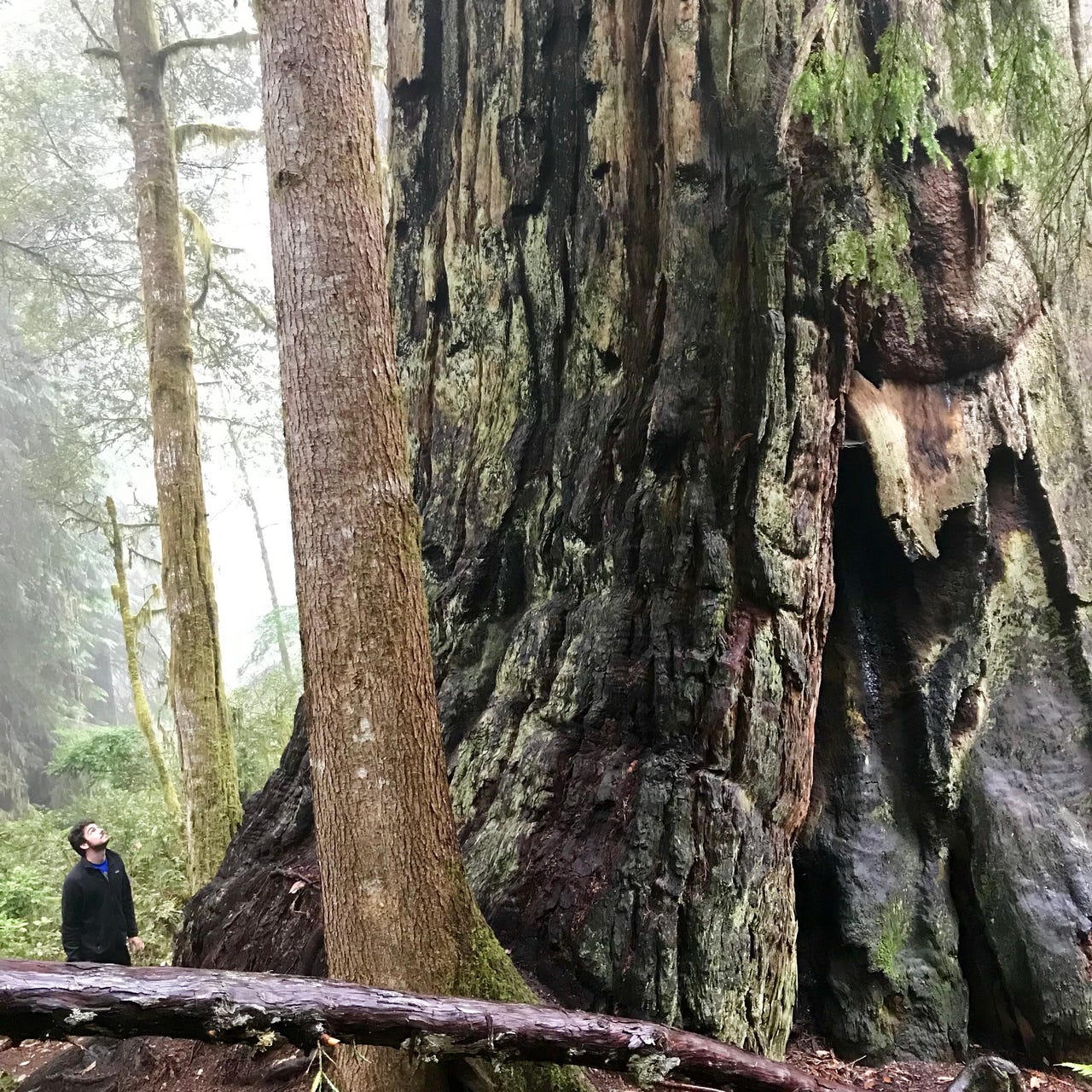 Poetry by Samuel Forbes