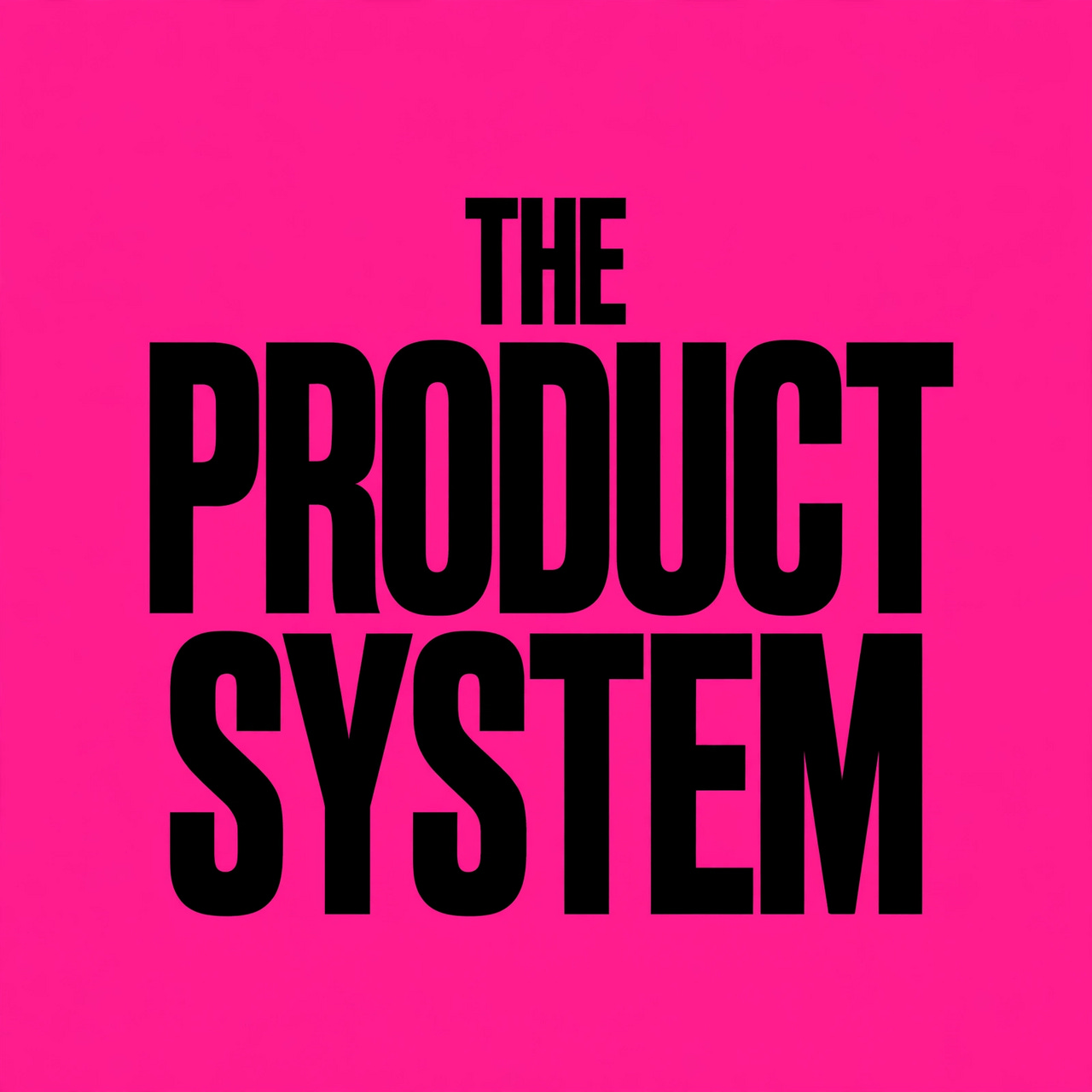 THE PRODUCT SYSTEM