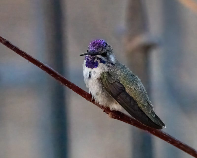 20250511-mby-Edit 2.jpg