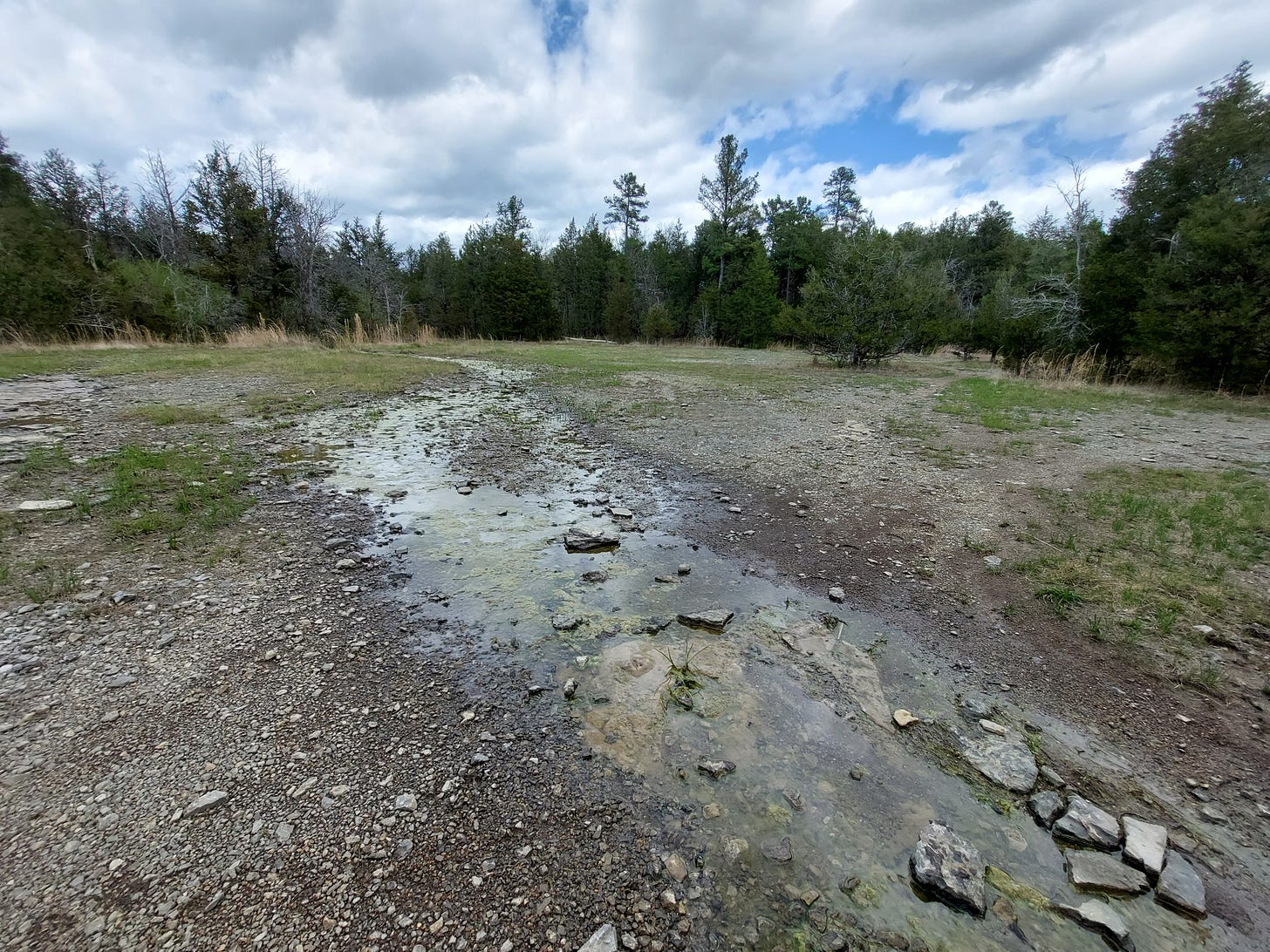 Wide angle view of a cedar glade. A long stretch of flat, pale gray rock, with some gravelly areas, some shallow puddles, some patches of grass and short plants, and a dark border of cedar trees in the distance, under a blue yet mostly cloudy sky, which is reflected in the shallow pools of water.