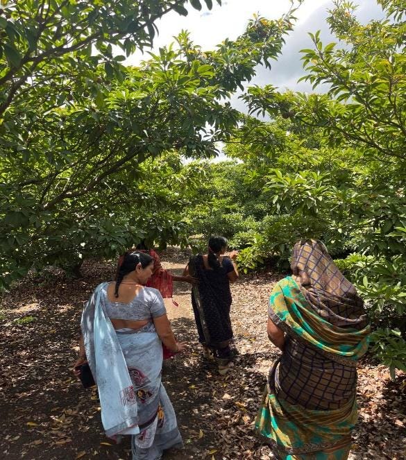 A group of women walking through a forest
Description automatically generated A group of women walking through a forest
Description automatically generated