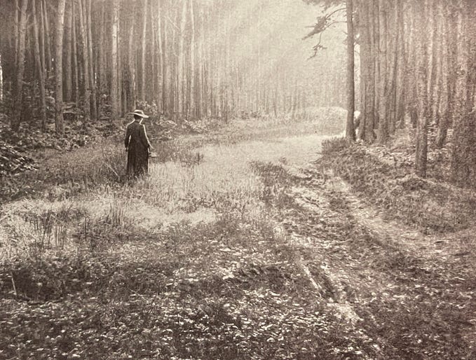 Antique image of a woman wandering through the woods Antique image of a woman wandering through the woods