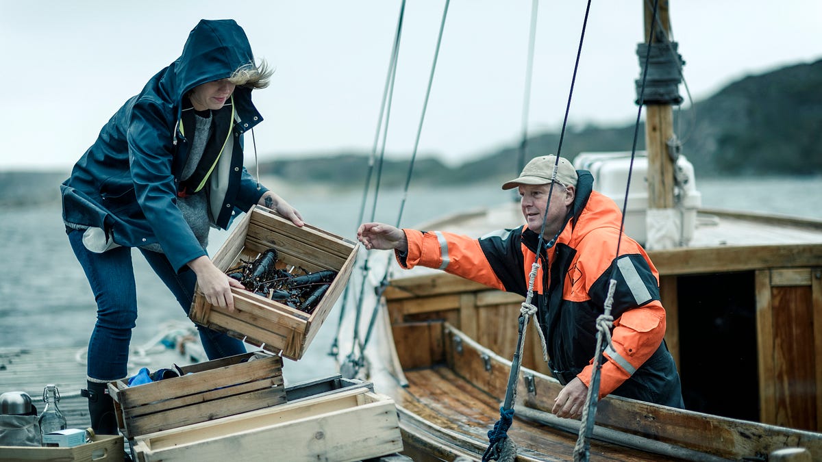 Lobsters and the limits of neoliberalism