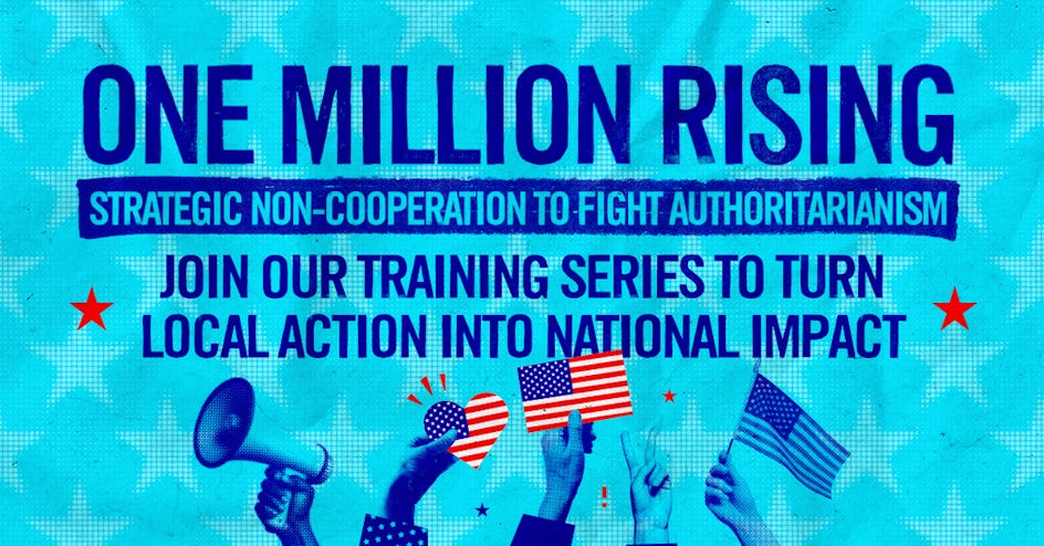 One Million Rising: Strategic Non-Cooperation to Fight Authoritarianism organized by No Kings