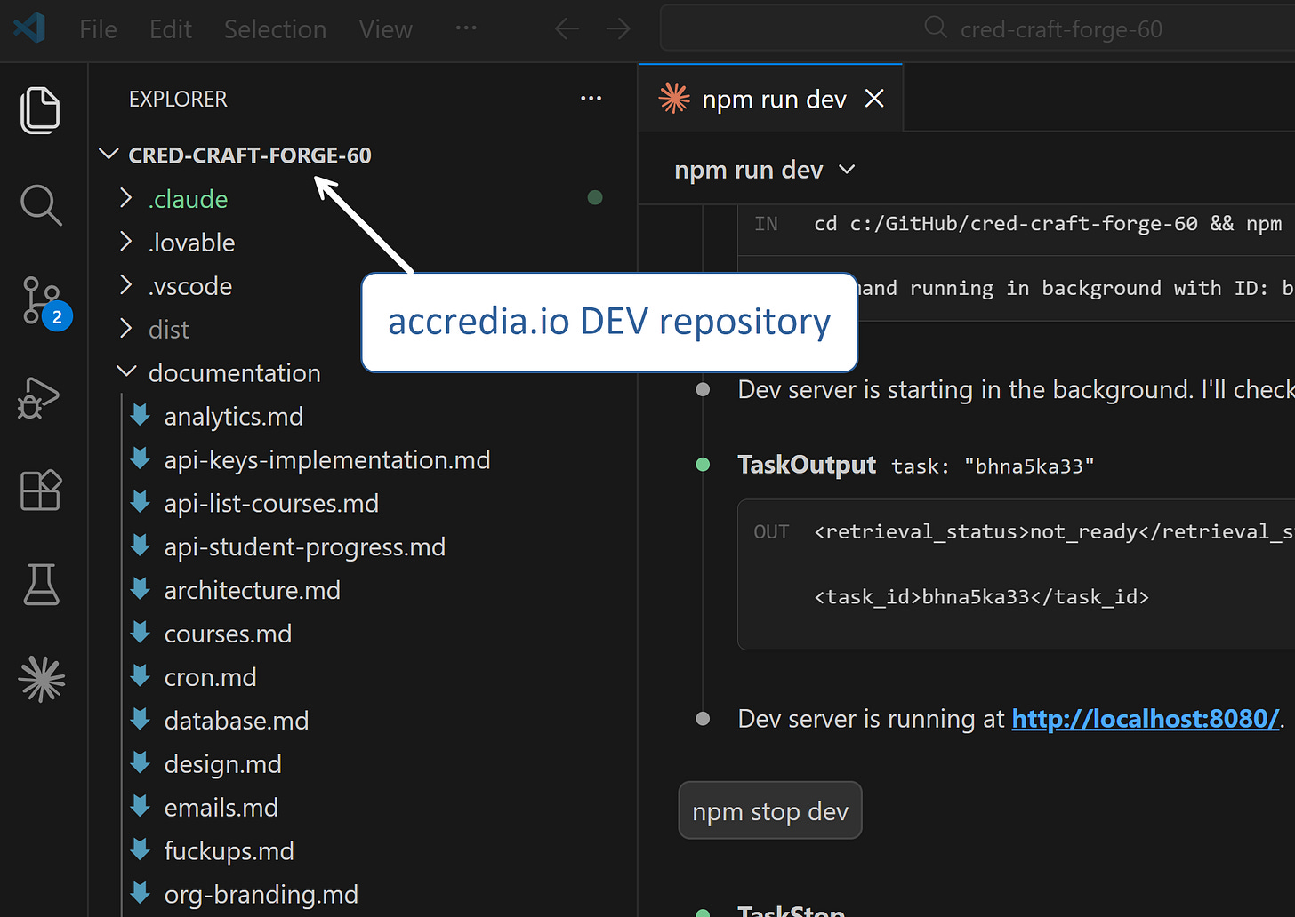 Claude Code extension working on a large codebase