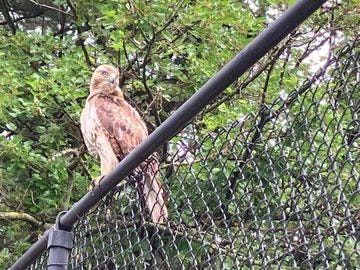 Anthony Moretti, PhD