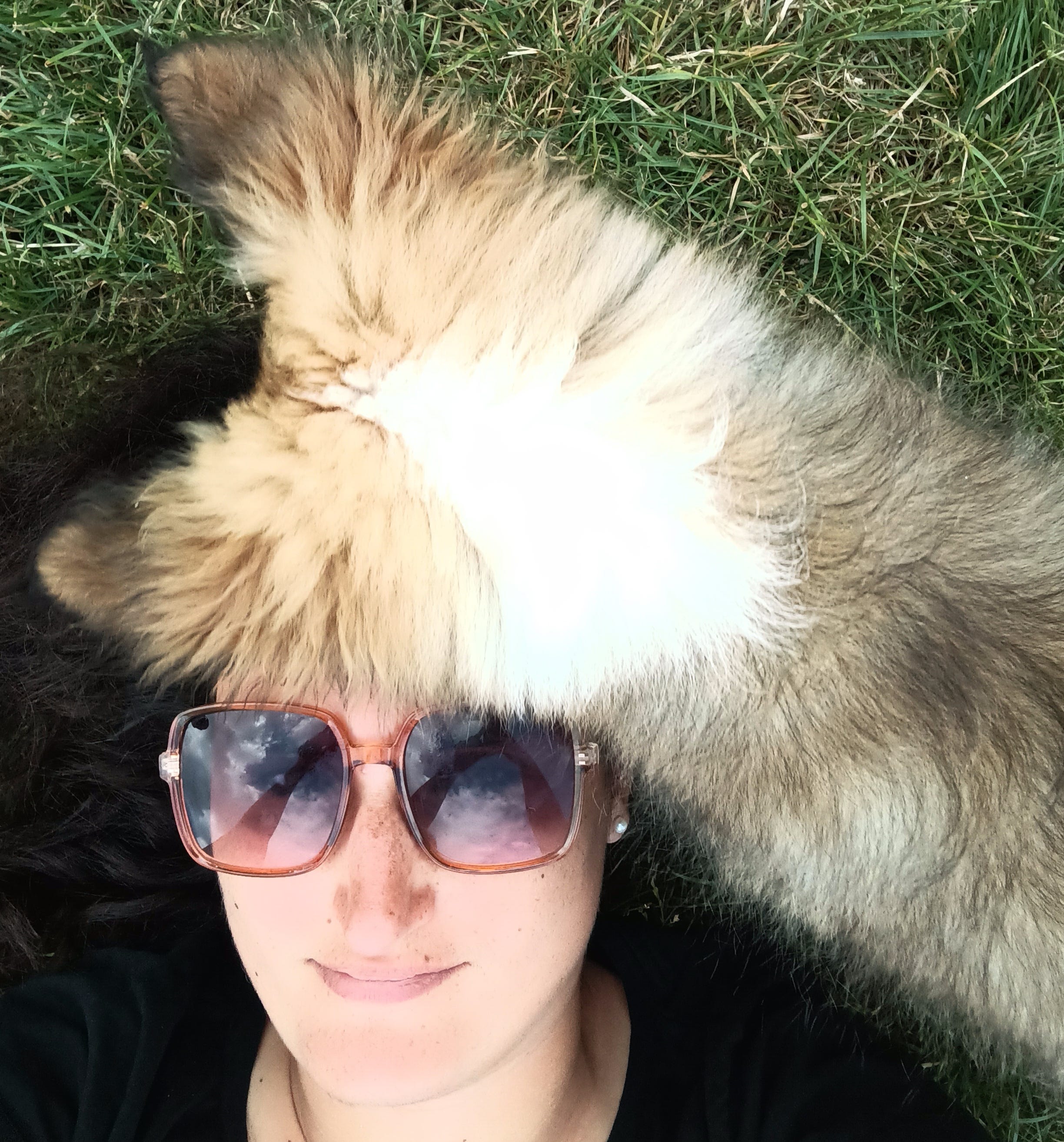 Le Substack de l_ouvre_lettres