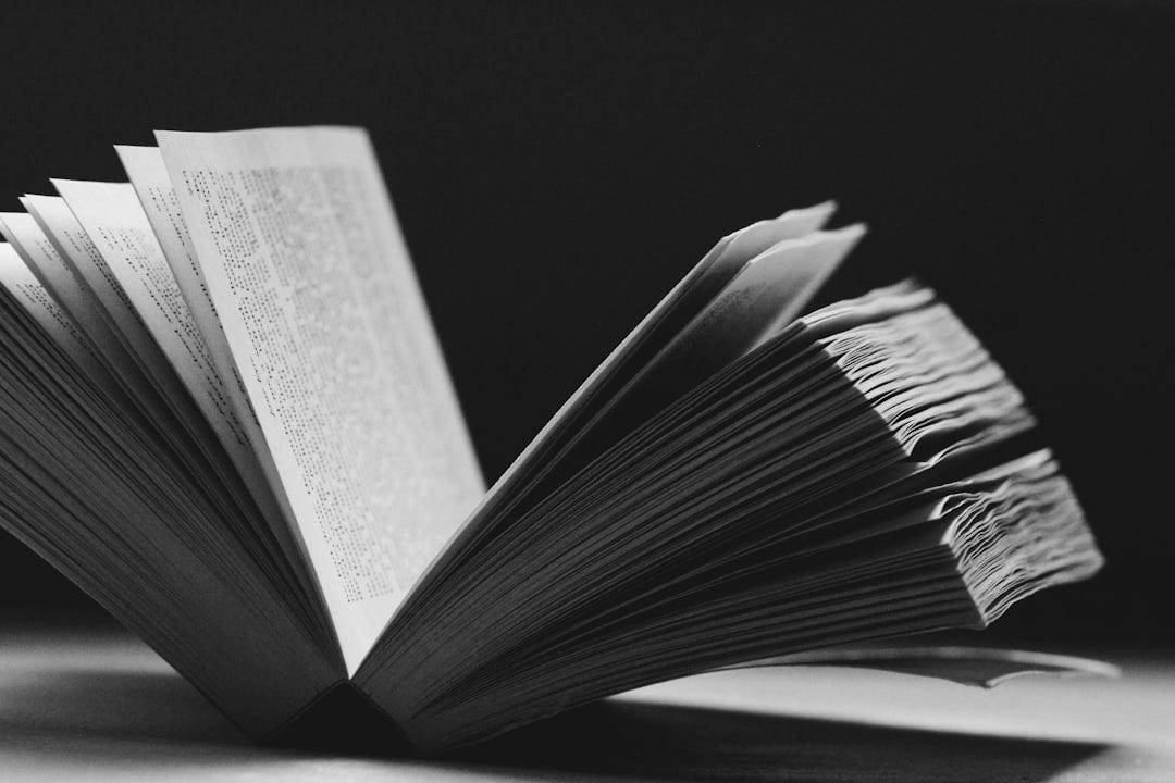 opened book opened book