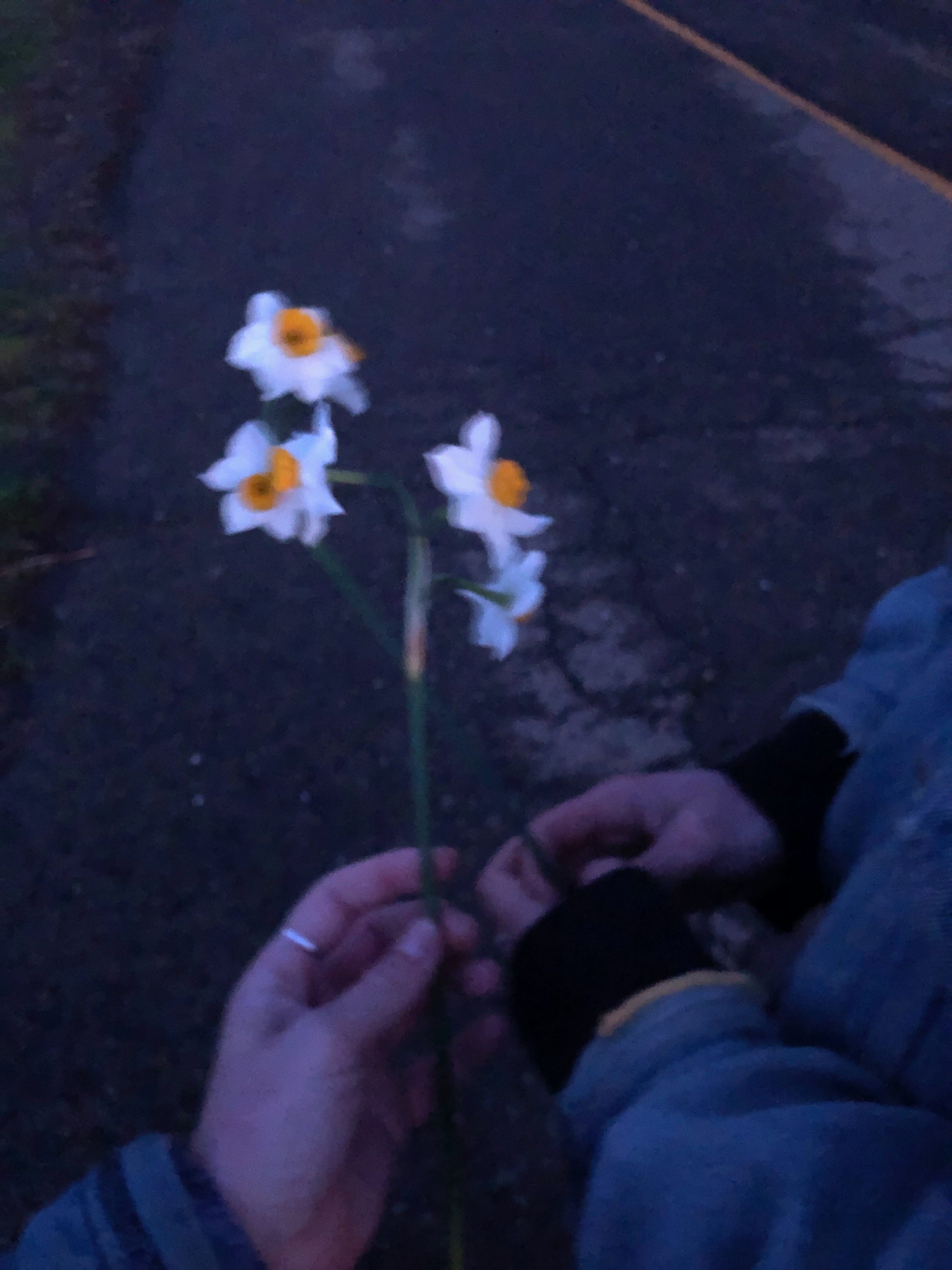 Artwork for ~*Lightbody*~