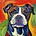 Dogg Mann