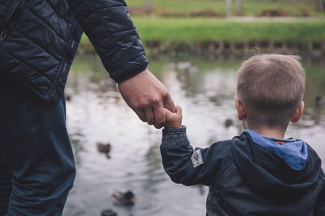 A child holds the hand of an adult while looking at a pond filled with ducks. A child holds the hand of an adult while looking at a pond filled with ducks.
