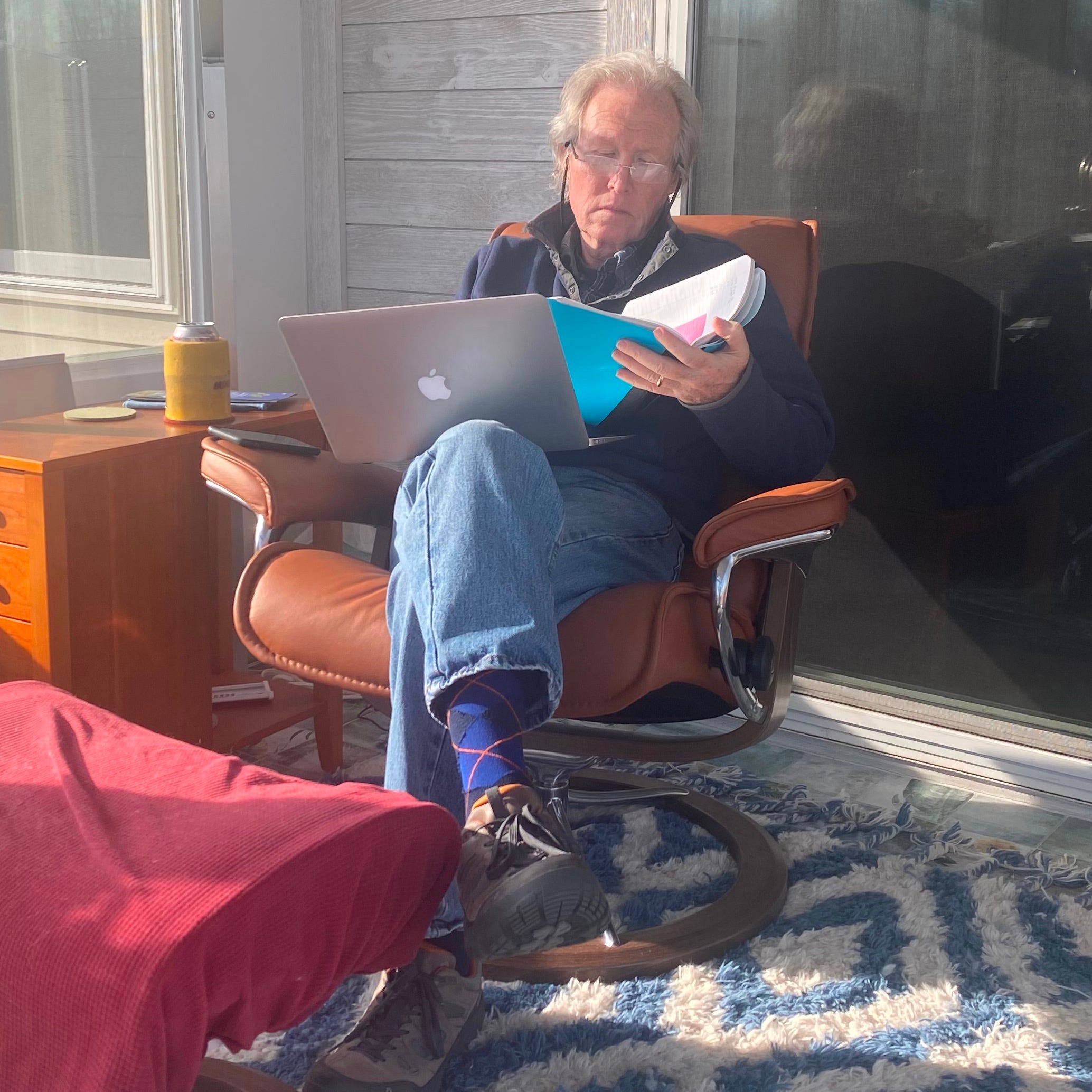 Democracy Defender 1787