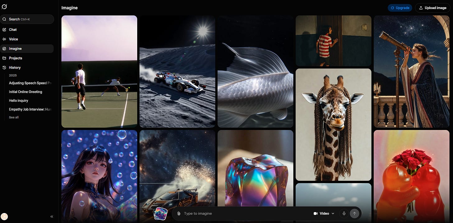 Grok Imagine image-to-video model