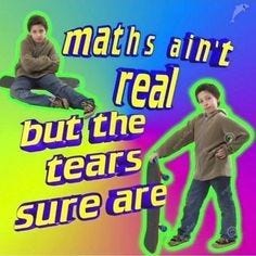 This may contain: two young boys with skateboards and the words maths aren't real but the tears sure are This may contain: two young boys with skateboards and the words maths aren't real but the tears sure are