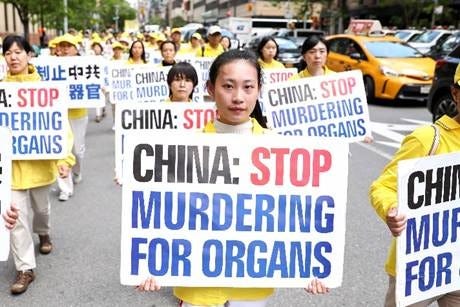 LIVE: Forced Organ Harvesting in China: Examining the Evidence | EpochTV