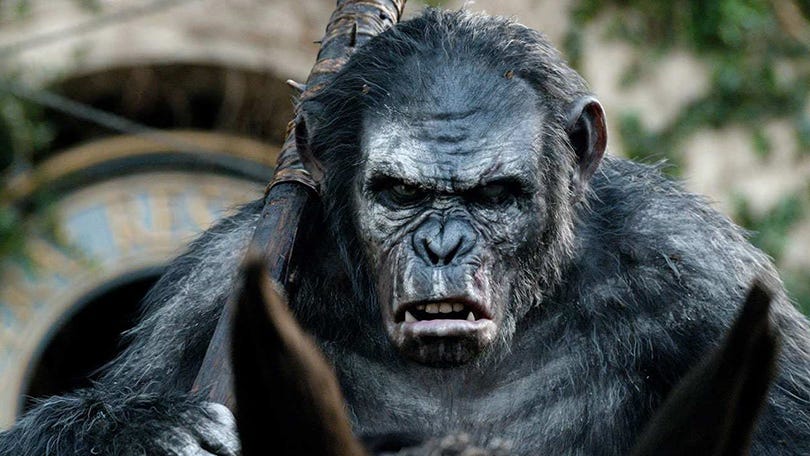 Analyzing Evil: Koba from 'Planet of the Apes' - Blog of the Planet of the  Apes
