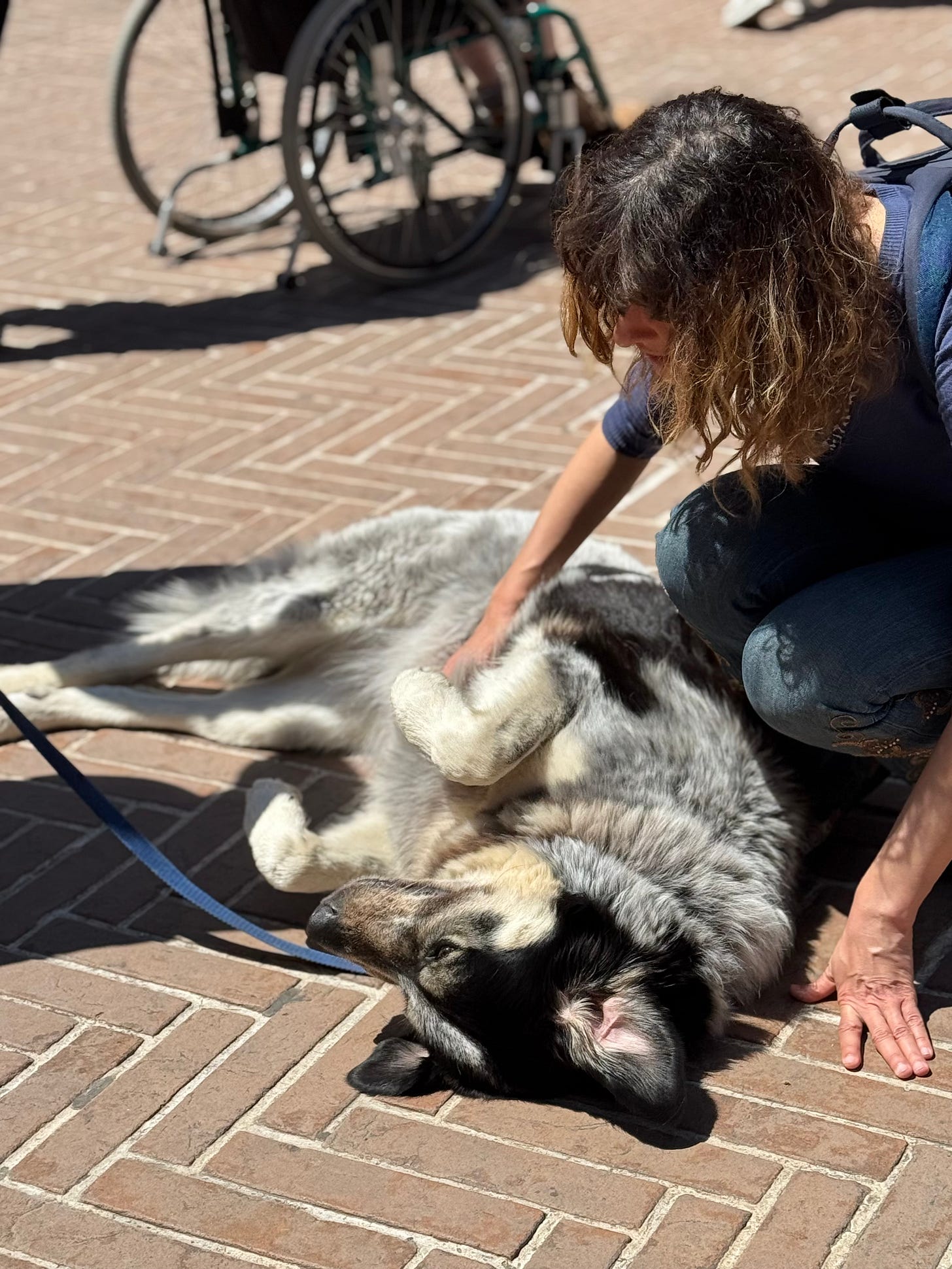 Big sloppy dog lying on tiled ground petted by young woman squatting on the ground