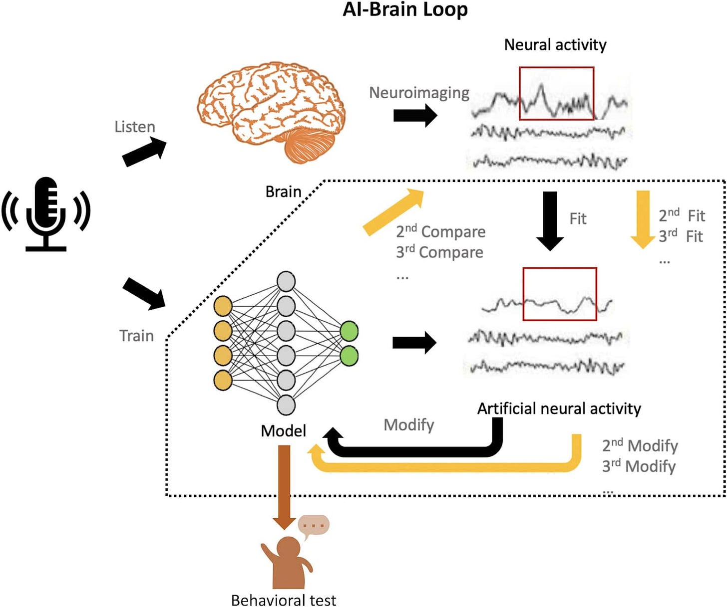 Diagram illustrating the AI-Brain Loop, showing the interactive relationship between brain activity and an artificial intelligence model