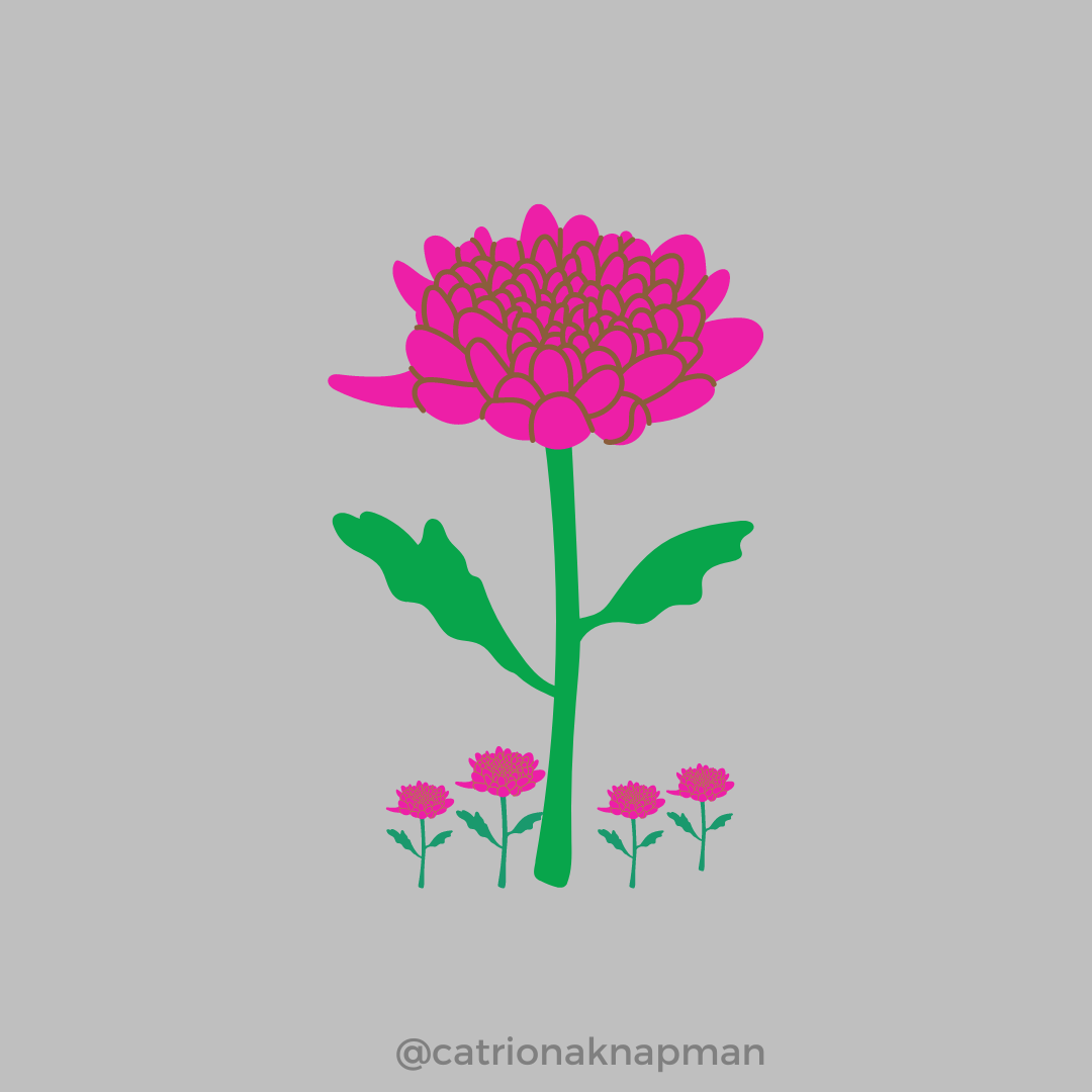 Canva image of multiple flowers rooted into the ground