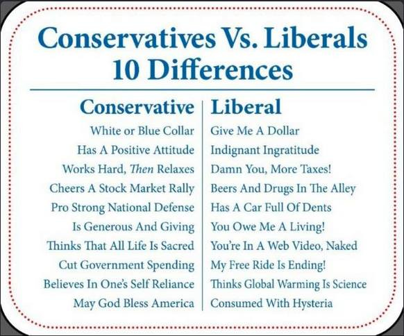 Meme Brilliantly Explains The Top 10 Differences Between Liberals And ...