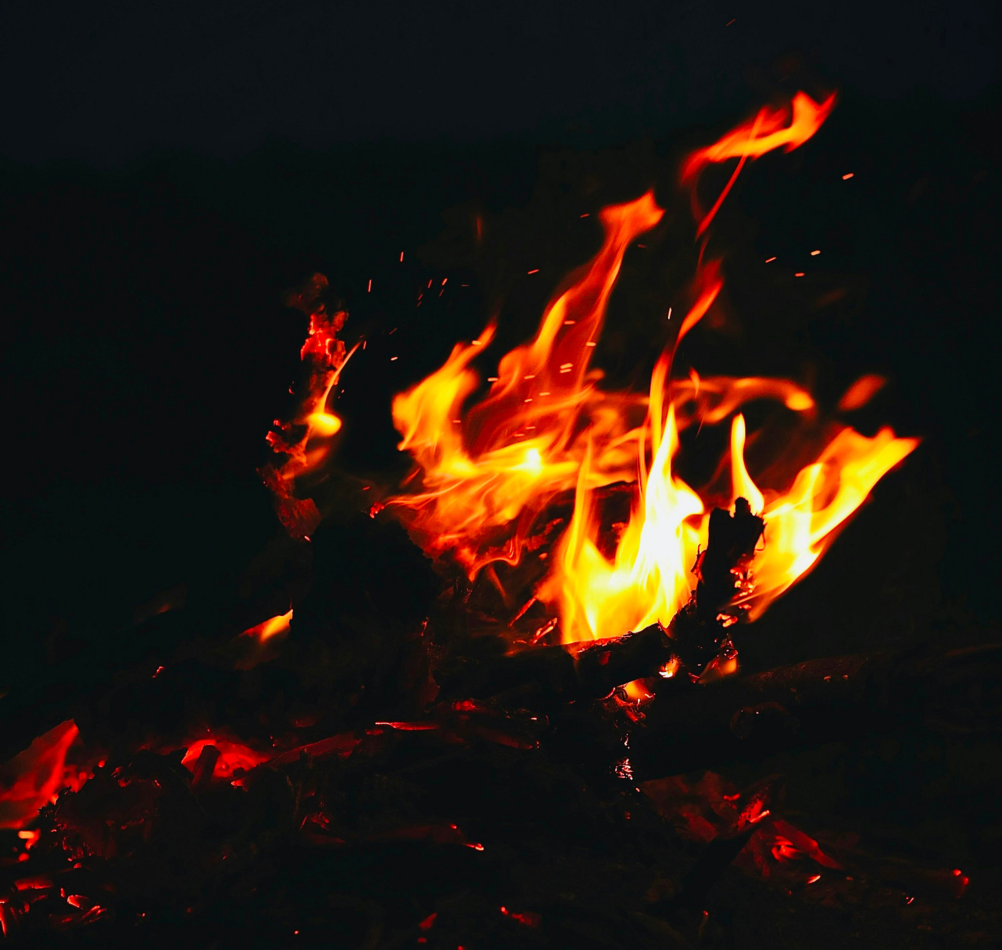 fire in the middle of the woods