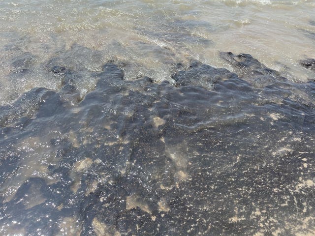 r/NorthCarolina - What is this? N Topsail Beach.  Black, slimy