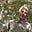 enactive_agent's avatar