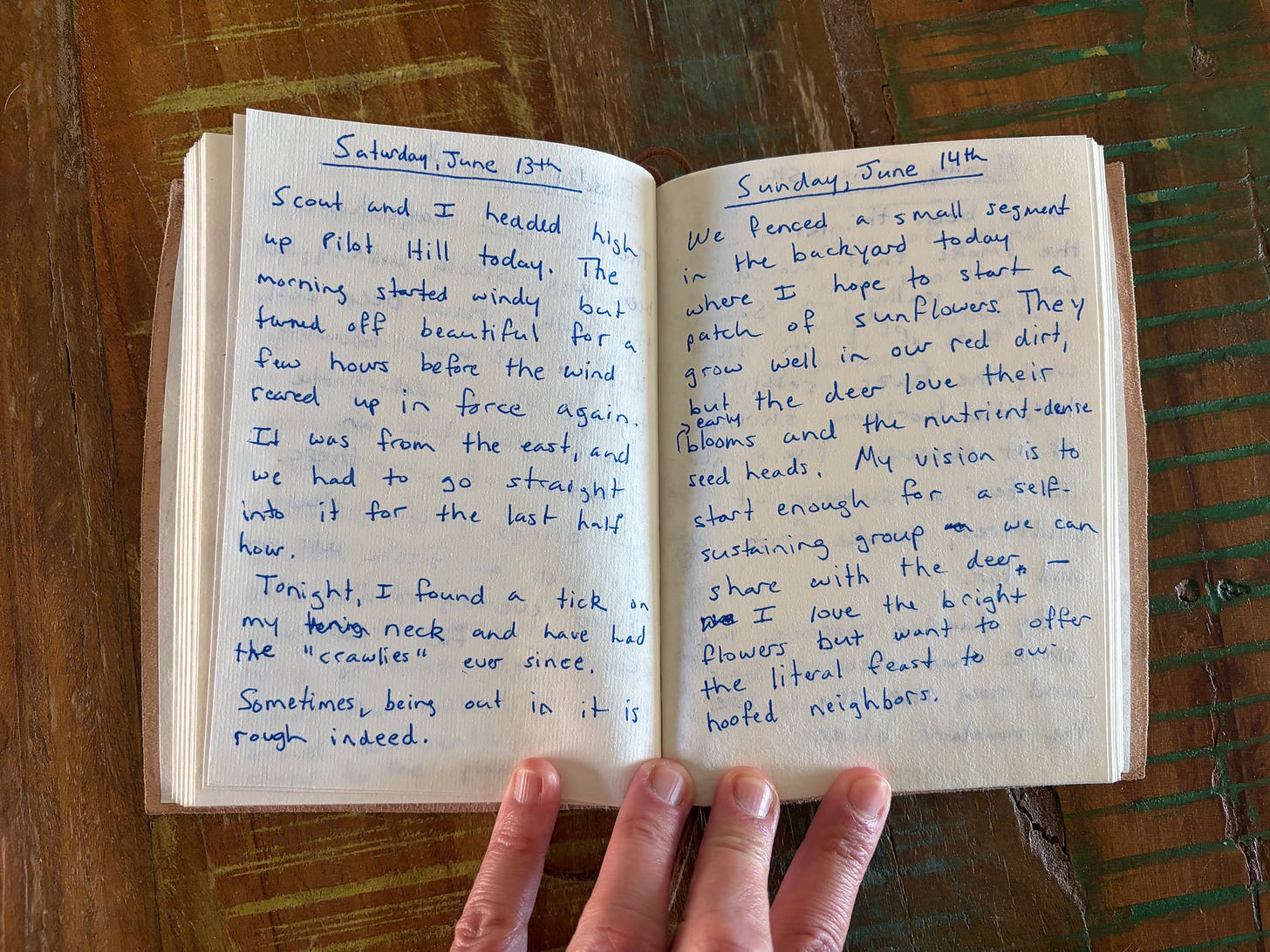 Image of handwritten journal (text transcript below)