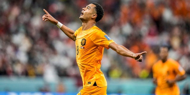 Cody Gakpo of the Netherlands celebrates after scoring his side's opening goal against Qatar, at the Al Bayt Stadium in Al Khor , Qatar, Tuesday, Nov. 29, 2022.