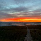 August journal: overwhelm