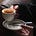 رُبمـا's avatar