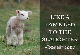 Led Like a Lamb to the Slaughter | Bethel Christian Reformed Church,  Dunnville