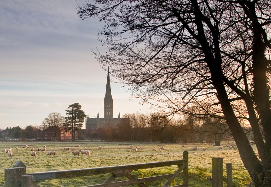 Inside Salisbury: Wessex misses out on Devolution Priority Programme