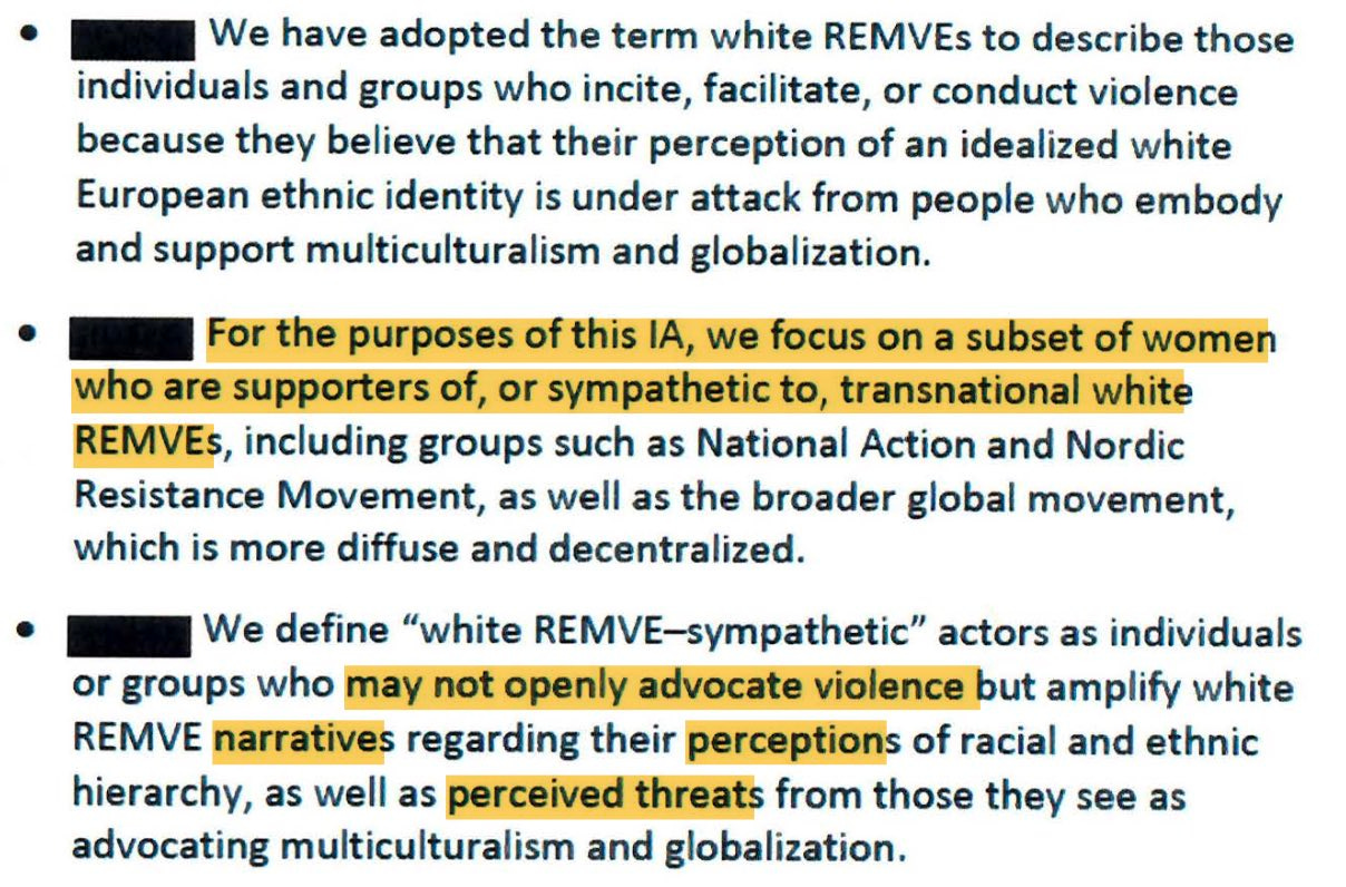 CIA document definitions page - REMVE-sympathetic actors definition