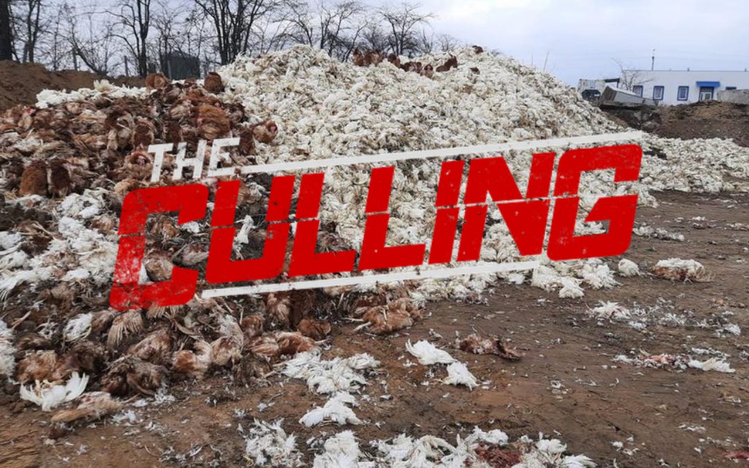 mikestone.substack.com