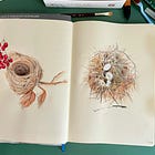 Replay: Nests