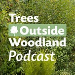Tree Talk
