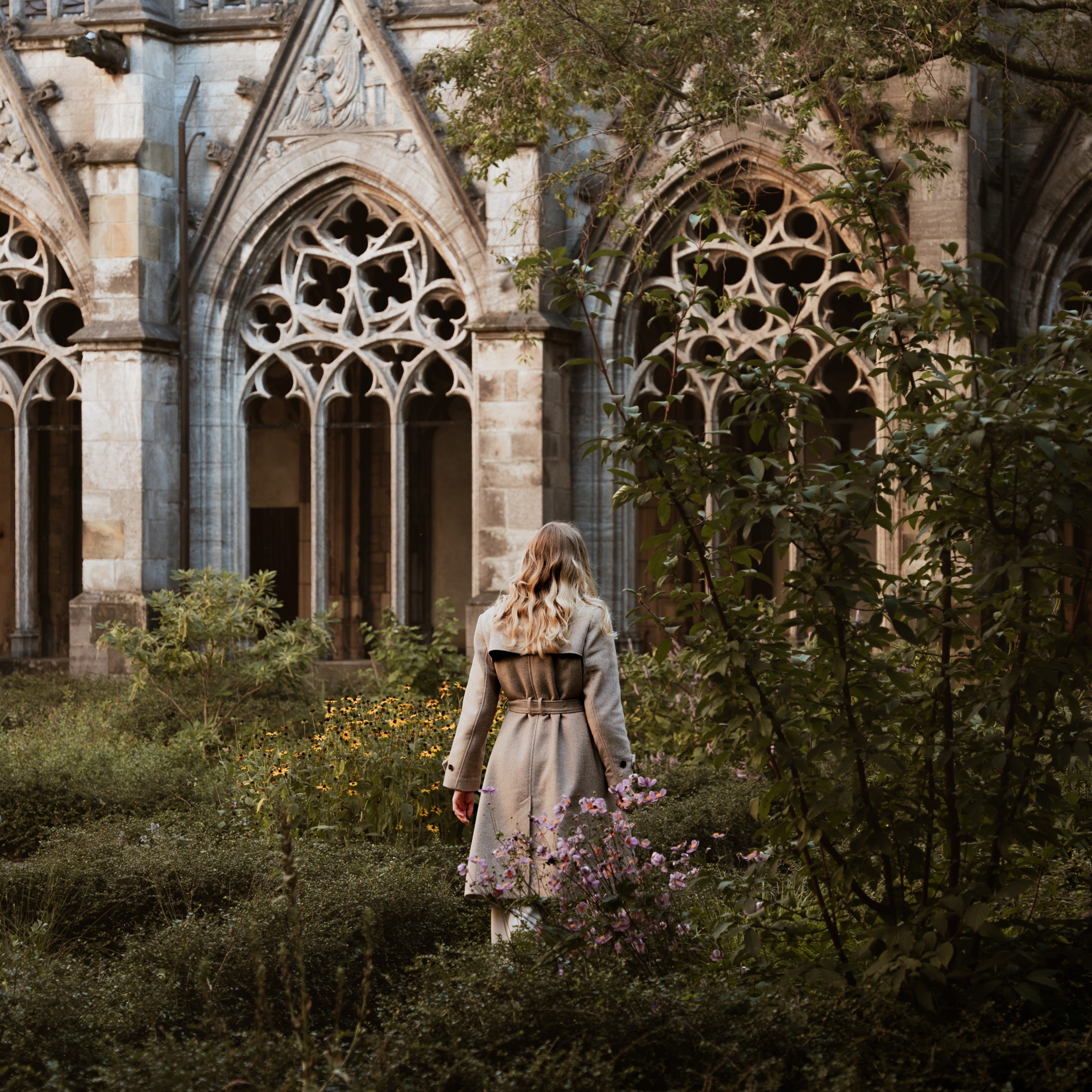  A Woodland of Stories