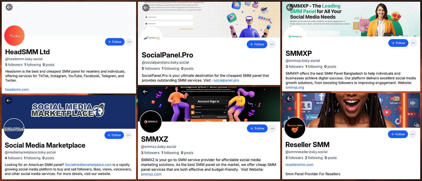 profiles of six Bluesky accounts with references to SMM panels in their biographies