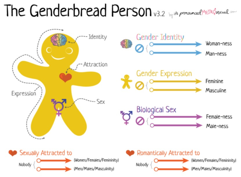 Adult gender clinics - Transgender Trend