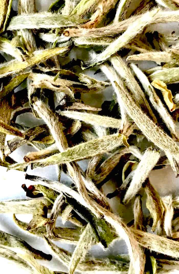 Silver Needle Buds